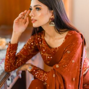 Terracotta Brown Chiken kari saree - Image 5