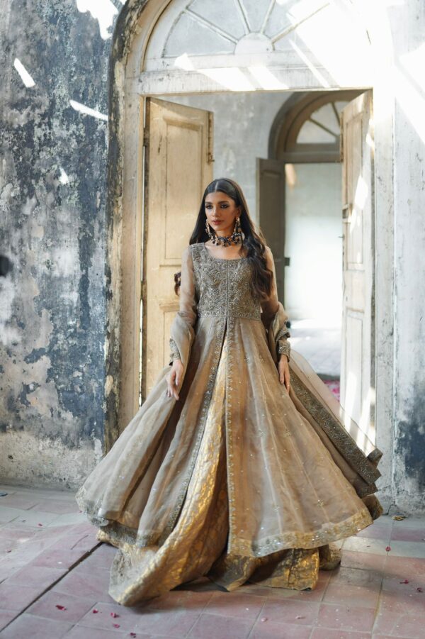 ZEBAISH E ZAMANA ( CHAMPANGE DRESS )