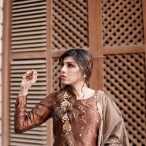 LAJPAAL "BROWN BROCADE" - Image 2