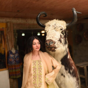 FAWN 2 TONE DUPATTA DRESS - Image 2