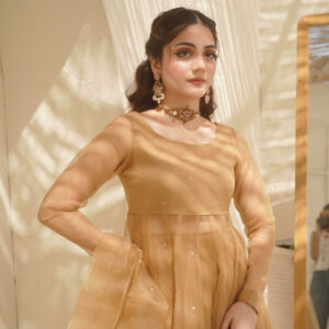 EID COLLECTION'25 ( CHANN DRESS ) - Image 3