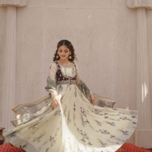 EID COLLECTION '25 ( Larkspur dress ) - Image 2