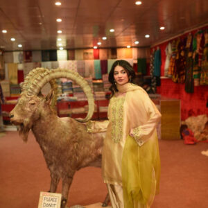 FAWN 2 TONE DUPATTA DRESS - Image 9