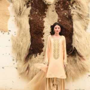 FAWN 2 TONE DUPATTA DRESS - Image 8