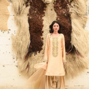 FAWN 2 TONE DUPATTA DRESS - Image 3